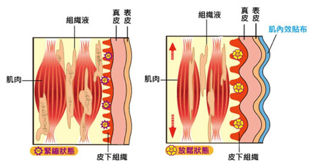 四种引体向上动作训练你的上半身肌群