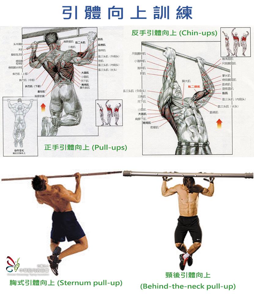 四种引体向上动作训练你的上半身肌群